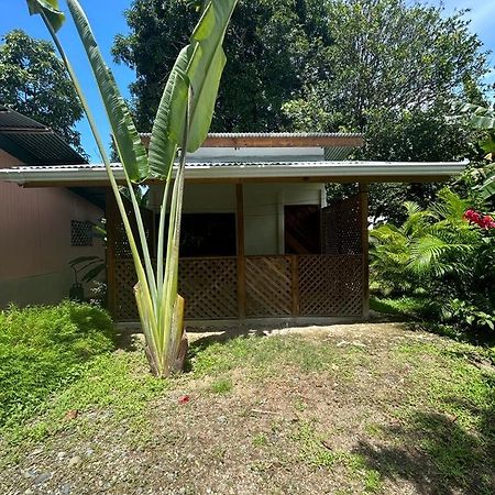 Ballena Oasis Homes Uvita Extérieur photo