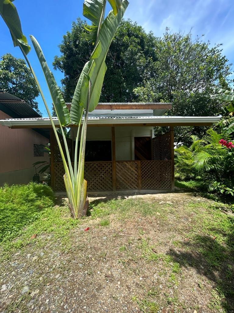 Ballena Oasis Homes Uvita Extérieur photo